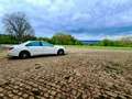 Mercedes-Benz S 500 Edition 1 | Designo | AMG | ABC-Federung Weiß - thumbnail 5