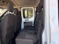 Ford Transit 350 L2 Doppelkabine Trend 1 BESITZ Weiß - thumbnail 9