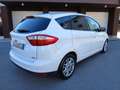 Ford C-Max 1.0 ecoboost Titanium OK perneopatentati Bianco - thumbnail 6