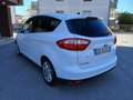 Ford C-Max 1.0 ecoboost Titanium OK perneopatentati Bianco - thumbnail 8