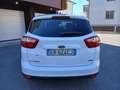Ford C-Max 1.0 ecoboost Titanium OK perneopatentati Bianco - thumbnail 7