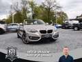 BMW 220 dA CABRIO / SPORT LINE / GPS / CAMERA / XENON / AC Grau - thumbnail 1