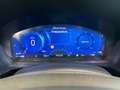 Ford Kuga 2,0 EcoBlue Hybrid ST-Line X Aut. Bleu - thumbnail 5