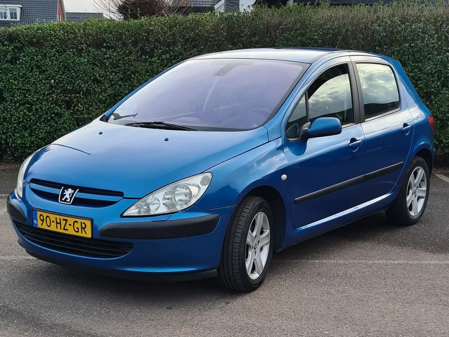 Peugeot 307 307 1.6-16V Gentry Blauw - 1