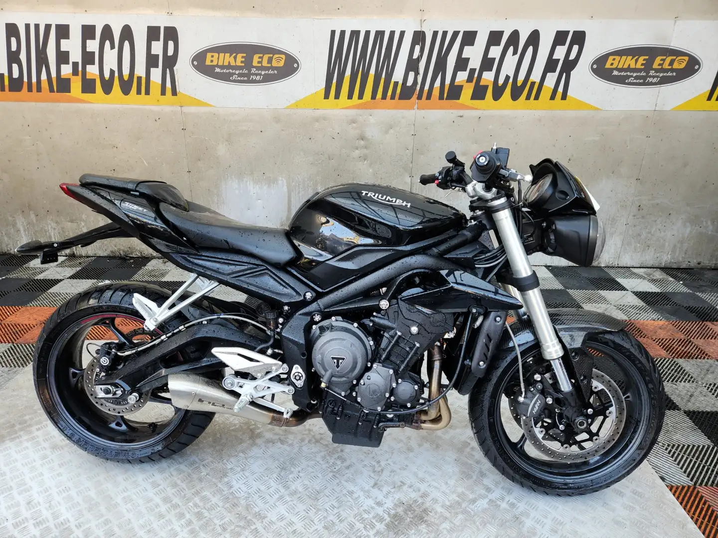 Triumph Negru - 1