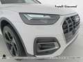 Audi Q5 40 2.0 tdi mhev 12v business advanced quattro s-tr Bianco - thumbnail 13