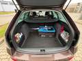 Skoda Octavia Combi 1.4 TSI AHK Sitzhzg PDC Xenon DAB Marrone - thumbnail 9