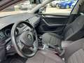 Skoda Octavia Wagon 2.0 TDI 4x4 Blu/Azzurro - thumbnail 7