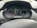 Skoda Octavia Wagon 2.0 TDI 4x4 Blu/Azzurro - thumbnail 9