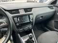 Skoda Octavia Wagon 2.0 TDI 4x4 Blu/Azzurro - thumbnail 10