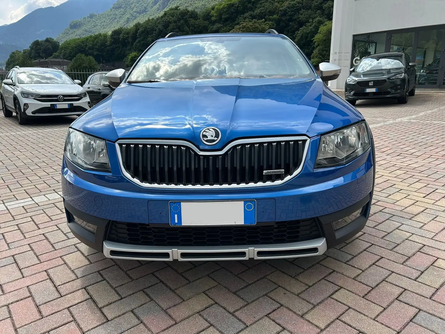 Skoda Octavia Wagon 2.0 TDI 4x4 Blu/Azzurro - 2