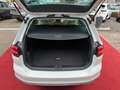 Volkswagen Passat Variant Alltrack BMT/Start-Stopp 4Motion Weiß - thumbnail 9