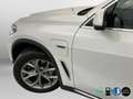 BMW X5 xDrive45e Blanco - thumbnail 6