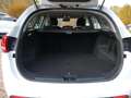 Kia Ceed / cee'd Ceed *Navi*Kam*Klimaauto*AppleCarp*Sitzheizung Weiß - thumbnail 9
