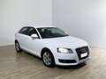 Audi A3 A3 1.6 Attraction Bianco - thumbnail 3
