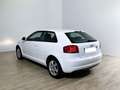Audi A3 A3 1.6 Attraction Bianco - thumbnail 6