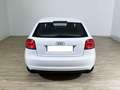 Audi A3 A3 1.6 Attraction Bianco - thumbnail 5