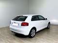 Audi A3 A3 1.6 Attraction Bianco - thumbnail 4