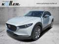 Mazda CX-30 /AT/G140/Exclusive-Line Grau - thumbnail 1