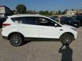 Ford Kuga Kuga 2.0 tdci Titanium 2wd 140cv Bianco - thumbnail 3