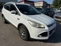 Ford Kuga Kuga 2.0 tdci Titanium 2wd 140cv Bianco - thumbnail 2