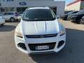Ford Kuga Kuga 2.0 tdci Titanium 2wd 140cv Bianco - thumbnail 6
