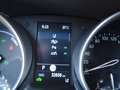 Toyota C-HR C-HR - 1,8 l Hybrid  C-LUB Weiß - thumbnail 13