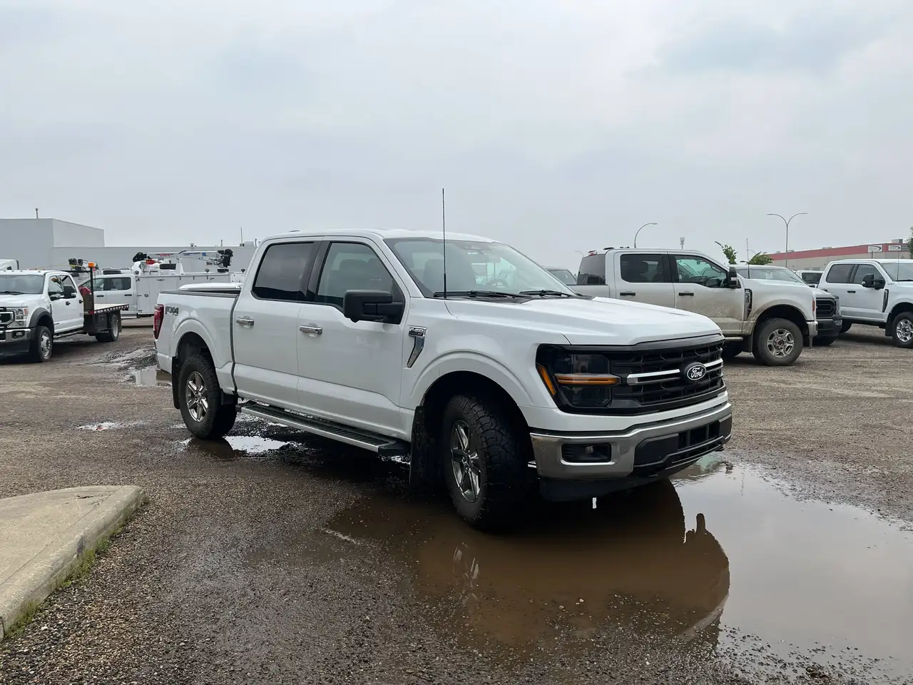 Ford F 150 photo Ford F 150
