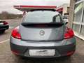 Volkswagen Beetle Sport 2.0 TDI *BI-XENON*PANO*KLIMAA-*ALU* Grau - thumbnail 8