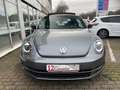Volkswagen Beetle Sport 2.0 TDI *BI-XENON*PANO*KLIMAA-*ALU* Grau - thumbnail 3