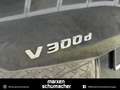 Mercedes-Benz V 300 V 300 d AVANTGARDE Plus Lang Standh.+AHK+Distro Grau - thumbnail 7