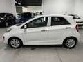 Kia Picanto 1.2 CVVT ISG Super Pack KEYLESS / SCHUIFDAK Blanc - thumbnail 4