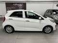Kia Picanto 1.2 CVVT ISG Super Pack KEYLESS / SCHUIFDAK Blanc - thumbnail 5