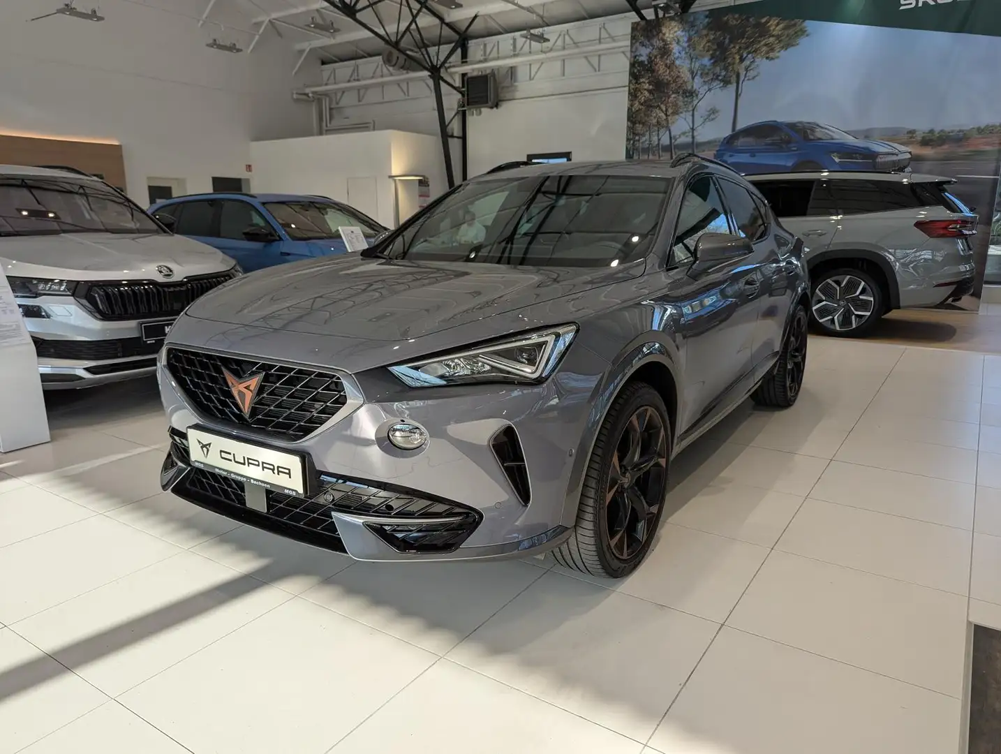 CUPRA Formentor 2.0 TSI VZ DSG Grau - 2
