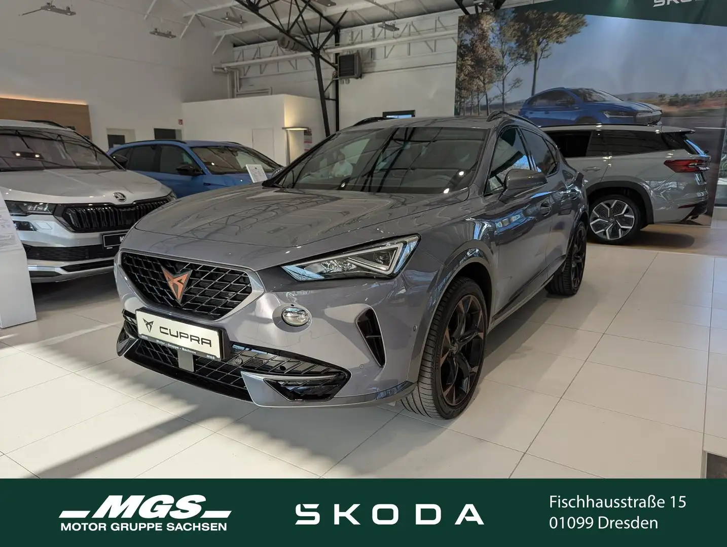 CUPRA Formentor 2.0 TSI VZ DSG Grau - 1