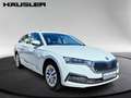 Skoda Octavia Combi 1.5 TSI ACT Style mit Navi*RFK*SHZ Blanc - thumbnail 4