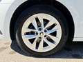 Skoda Octavia Combi 1.5 TSI ACT Style mit Navi*RFK*SHZ Blanc - thumbnail 11
