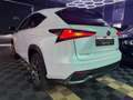 Lexus NX 300h 2.5 300 H 197 cv HEV LUXE PLUS 2WD BVA I ENTRETIEN LEXUS - SIÈGES ÉLEC/CHAUF - TOIT PANO Schwarz - thumbnail 4