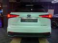 Lexus NX 300h 2.5 300 H 197 cv HEV LUXE PLUS 2WD BVA I ENTRETIEN LEXUS - SIÈGES ÉLEC/CHAUF - TOIT PANO Schwarz - thumbnail 5
