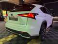 Lexus NX 300h 2.5 300 H 197 cv HEV LUXE PLUS 2WD BVA I ENTRETIEN LEXUS - SIÈGES ÉLEC/CHAUF - TOIT PANO Schwarz - thumbnail 6