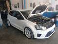 Volkswagen Polo R WRC WRC N 379    CON 320CV Weiß - thumbnail 6