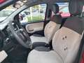 Fiat Panda OCCASIONE! Oro - thumbnail 8
