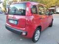 Fiat Panda OCCASIONE! Oro - thumbnail 6