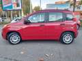 Fiat Panda OCCASIONE! Oro - thumbnail 3