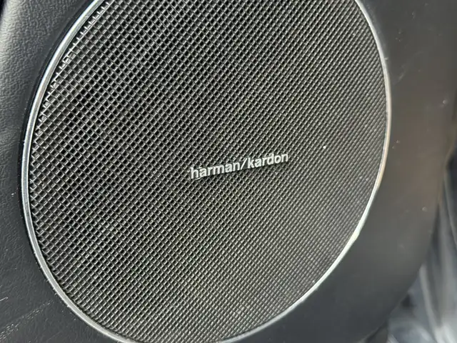 Mercedes-Benz G 350 BRABUS WIDESTAR Ansicht 16