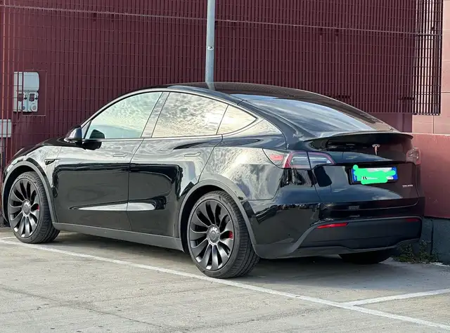 Tesla Model Y Model Y 2021 Performance Dual Motor awd