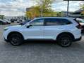 Honda CR-V e:HEV Elegance 2WD|AHK|IlluminationsP. Білий - thumbnail 5
