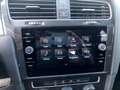 Volkswagen Golf Golf 7.5  1.6 tdi Business 115cv dsg Gris - thumbnail 13