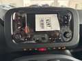 Fiat Panda Panda 1.0 firefly hybrid s&s 70cv 5p ti Rouge - thumbnail 11