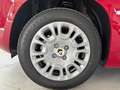 Fiat Panda Panda 1.0 firefly hybrid s&s 70cv 5p ti Rouge - thumbnail 5